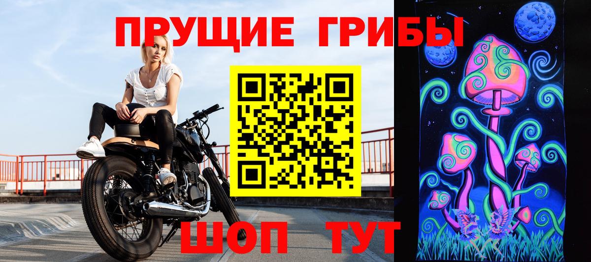 Галлюциногенные грибы Psilocybine cubensis  Псилоцибиновые грибы мицелий  Вход с VPN  Верхний Уфалей 