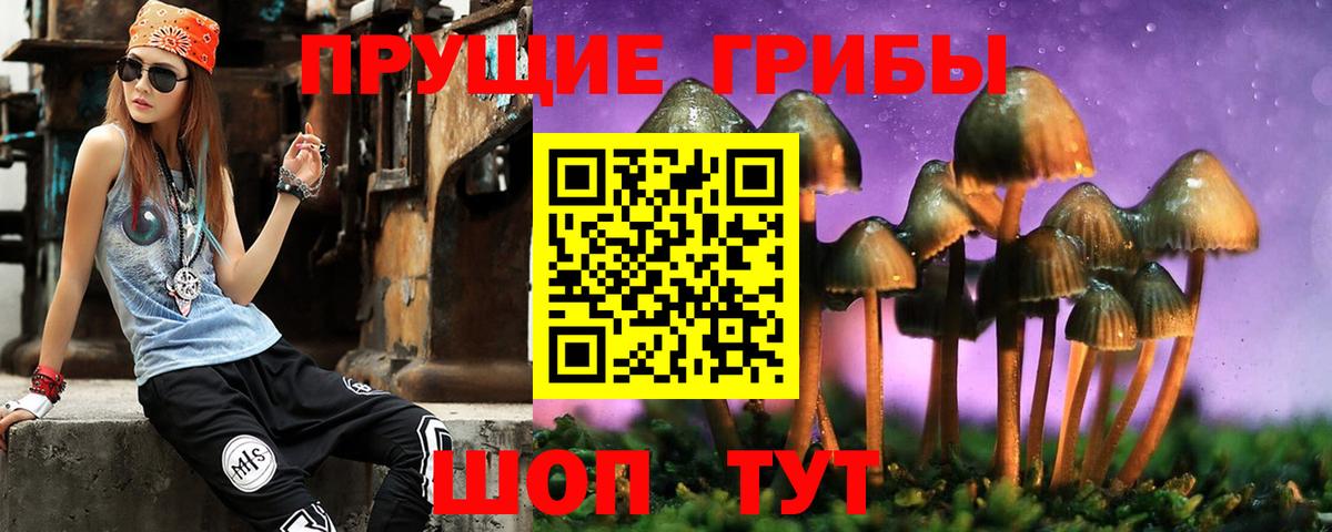 как найти наркотики  Верхний Уфалей  Псилоцибиновые грибы Psilocybine cubensis 